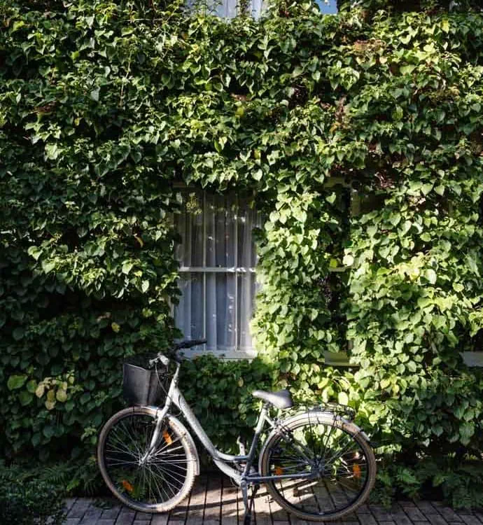 0023 &ndash; 2021 &ndash; Old Parsonage Hotel &ndash; Oxford &ndash; High res &ndash; Garden Room &ndash; Web Feature