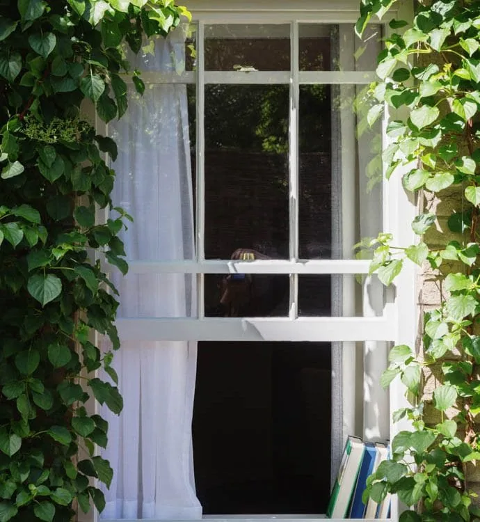 0055 &ndash; 2014 &ndash; Old Parsonage Hotel &ndash; Oxford &ndash; Low Res &ndash; Garden Window Greenery &ndash; Web Feature